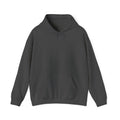 Ocean Outlaw Hooded Sweatshirt